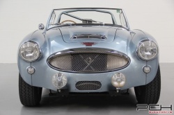 AUSTIN Healey 3000 Mark II BT7 Roadster Compétition