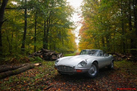 JAGUAR E-Type Cabriolet Série III V12 Manual Gearbox