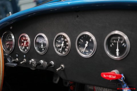 SHELBY Cobra 289 FIA