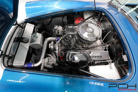 SHELBY Cobra 289 FIA