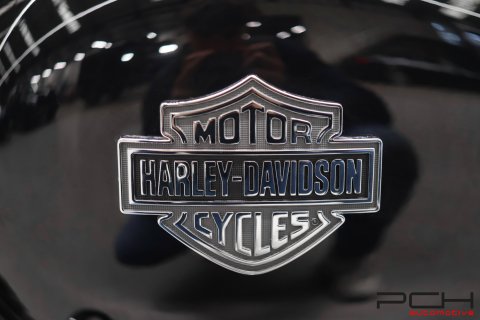 HARLEY-DAVIDSON Road King Special 114 ci