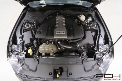 FORD Mustang Fastback 5.0 V8 GT 450cv Aut.